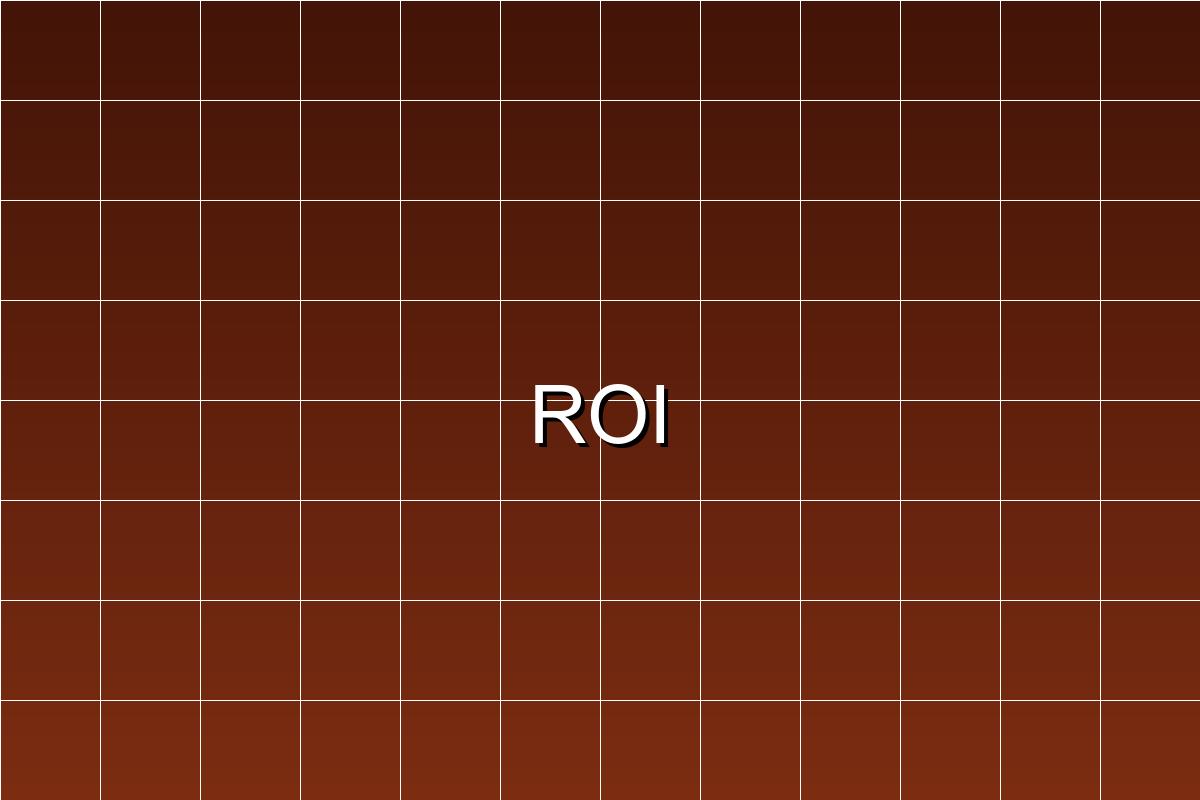 ROI Gegarandeerd